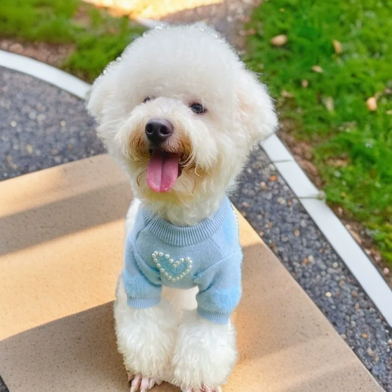 고양이 옷 귀여운 진주 하트 패턴 디자인 고양이 스웨터 강아지 개를위한 따뜻한 겨울 후드