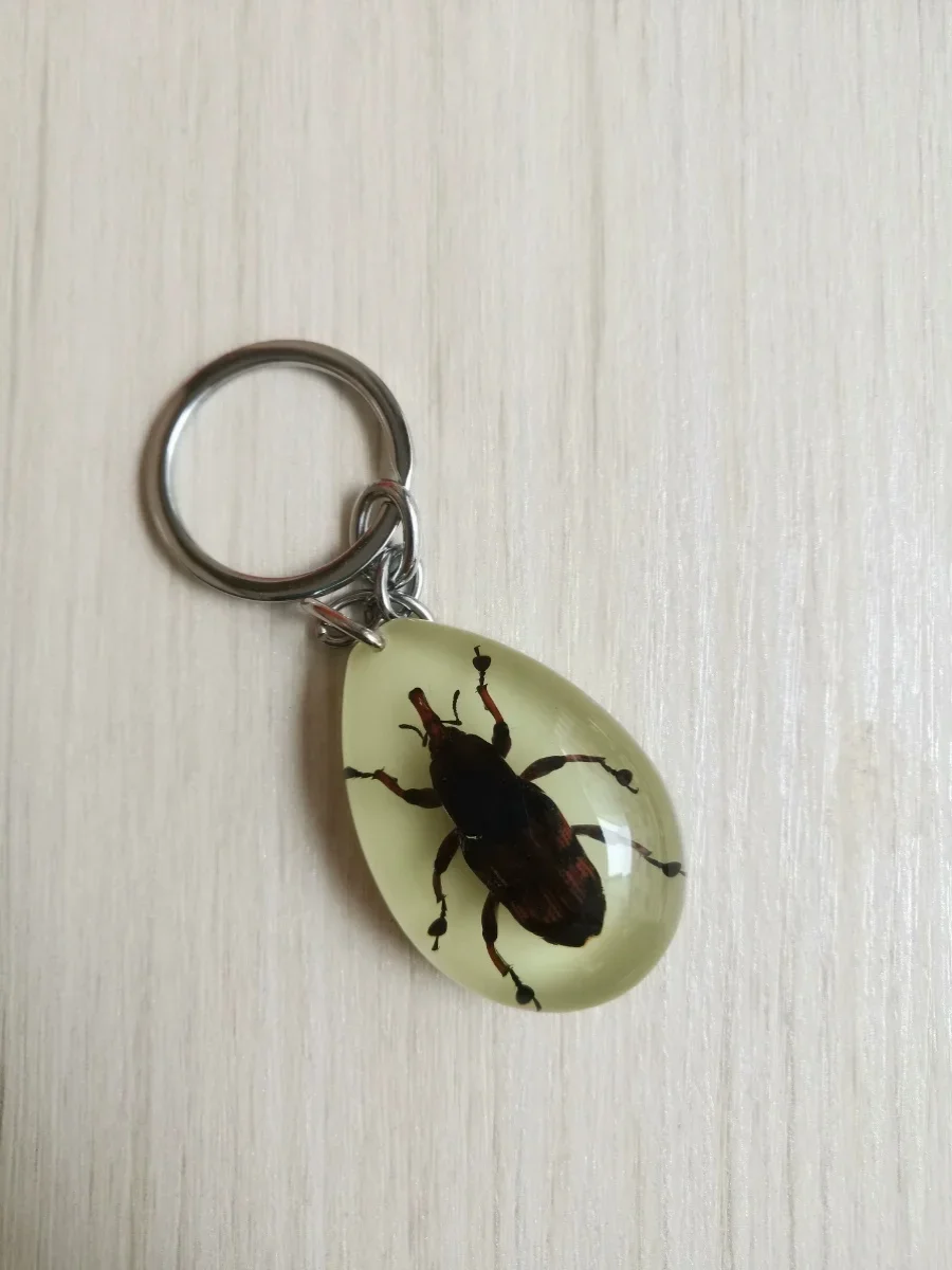 22pcs New Resin Insect Keychain Luminous Scorpion Insect Specimen Pendant Random Color Cute Keychain 4