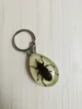 22pcs New Resin Insect Keychain Luminous Scorpion Insect Specimen Pendant Random Color Cute Keychain 4