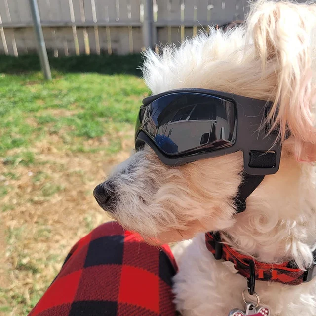 Occhiali Da Sole Per Cani - Protezione UV E Antivento Per Taglie Medie E Grandi | Nero - Foto 3