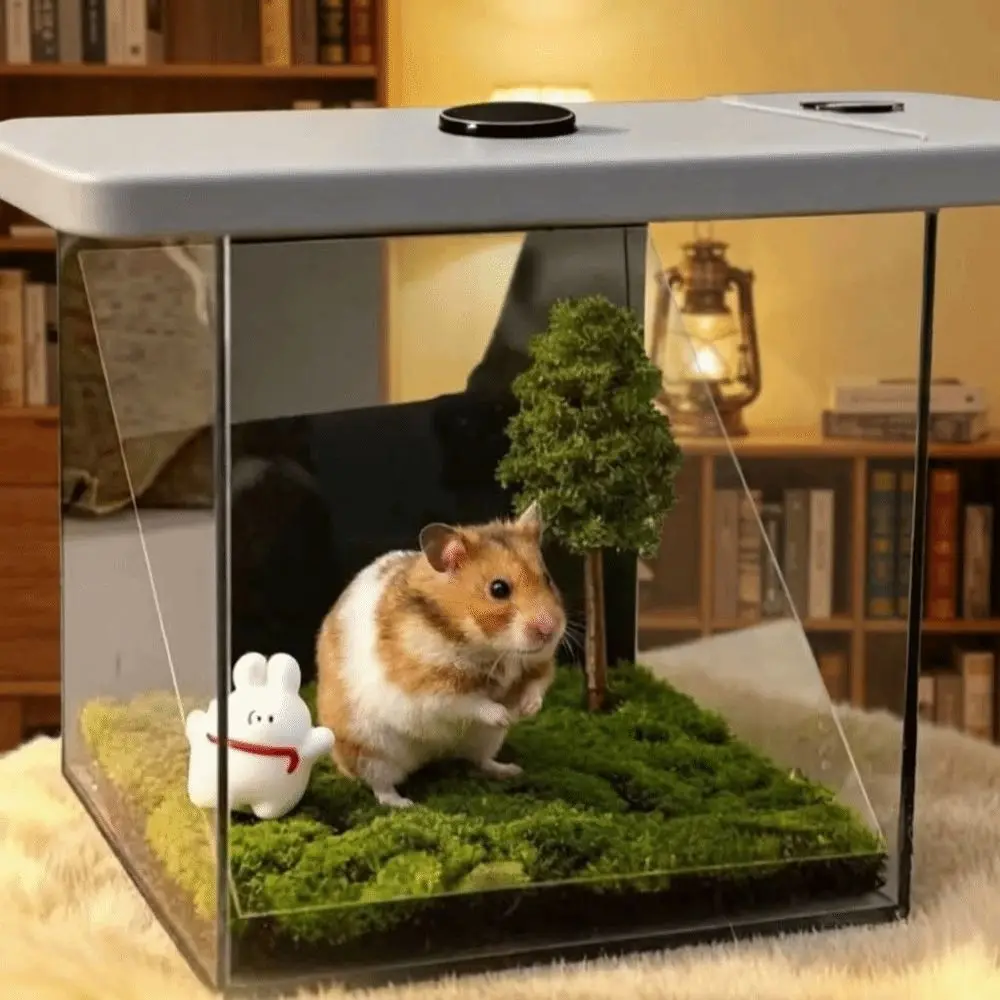아크릴 애완동물 홀로그램 프로젝션 디지털 프로젝션 메모리얼 박스 반려동물 추모 3D 홀로그램 애완동물 기념품 인사 선물