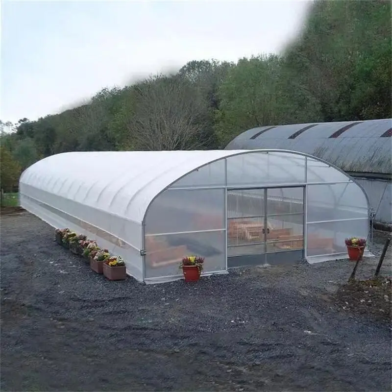 8M*30M Plant Greenhouse for Growing Plants Fruit Trees Vegetables outdoor greenhouse cover,greenhouse hoop kit