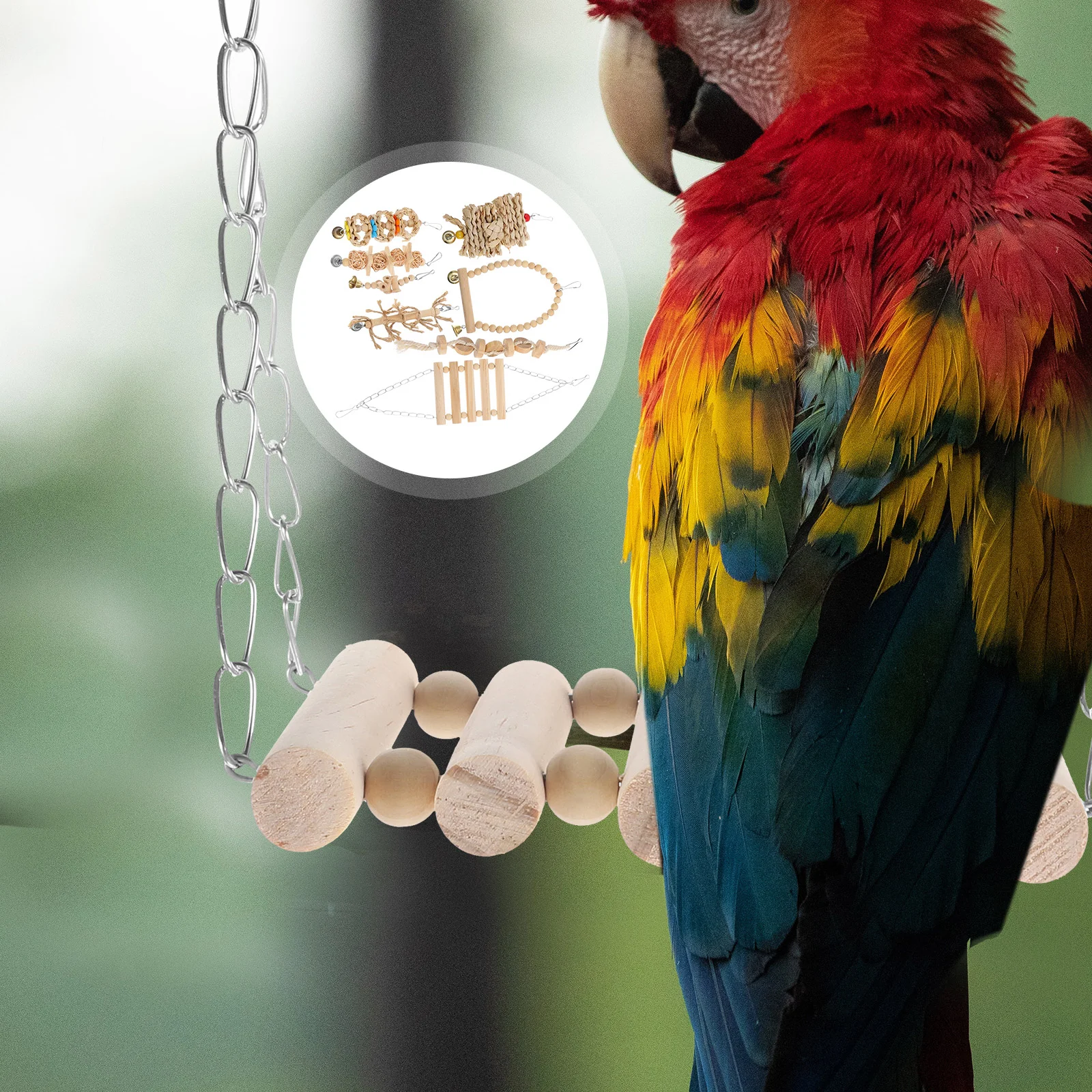 

8 Pcs Bird Foraging Toy Train Toys Long Tail Cockatiel Wooden Parakeet Parrots Chewing