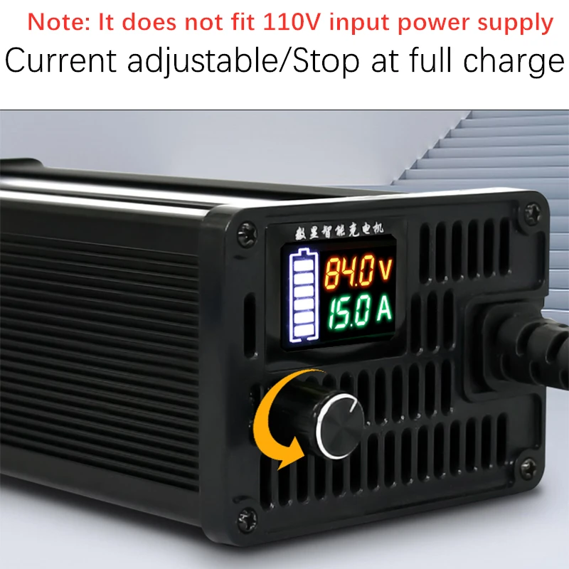리튬 이온 Lifepo4 리튬 배터리 충전기: 전류 조절, 다양한 전압 지원