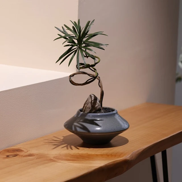 Narrow Modern Console Tables Hallway Porch Narrow Modern Console Tables Hallway Porch