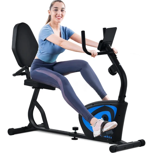 실내자전거 저렴한 실내 운동 기구인 마그네틱 Schwinn 스핀 자전거 사이클을 판매합니다. 10 미국 창고 리컴번트 운동 자전거, 8 레벨 조절 가능, 릴럭스 디스플레이, 성인 실내 운동 자전거