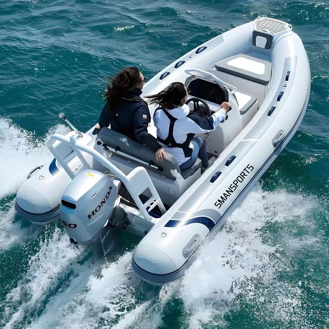 Inflatable Aluminum RIB Boat with Ladder and Bimini Top: A ...