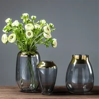 Luxury Gold Side Glass Hydroponic Vase Home Living Room Table Modern Decoration Flower Arrangement Wedding Ornament 1