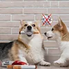 Creative Cigarette Interactive Giggles Dog Toys Funny Plush Chewing Toy with Squeaking Sound Dog Toy Cigaret Box Good Pet Gifts 5