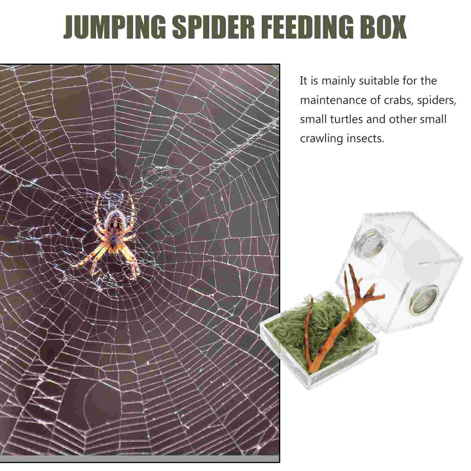 1 Set of Jumping Spider Enclosure Box Spider Habitat Box Acrylic Insects  Feeding Case 