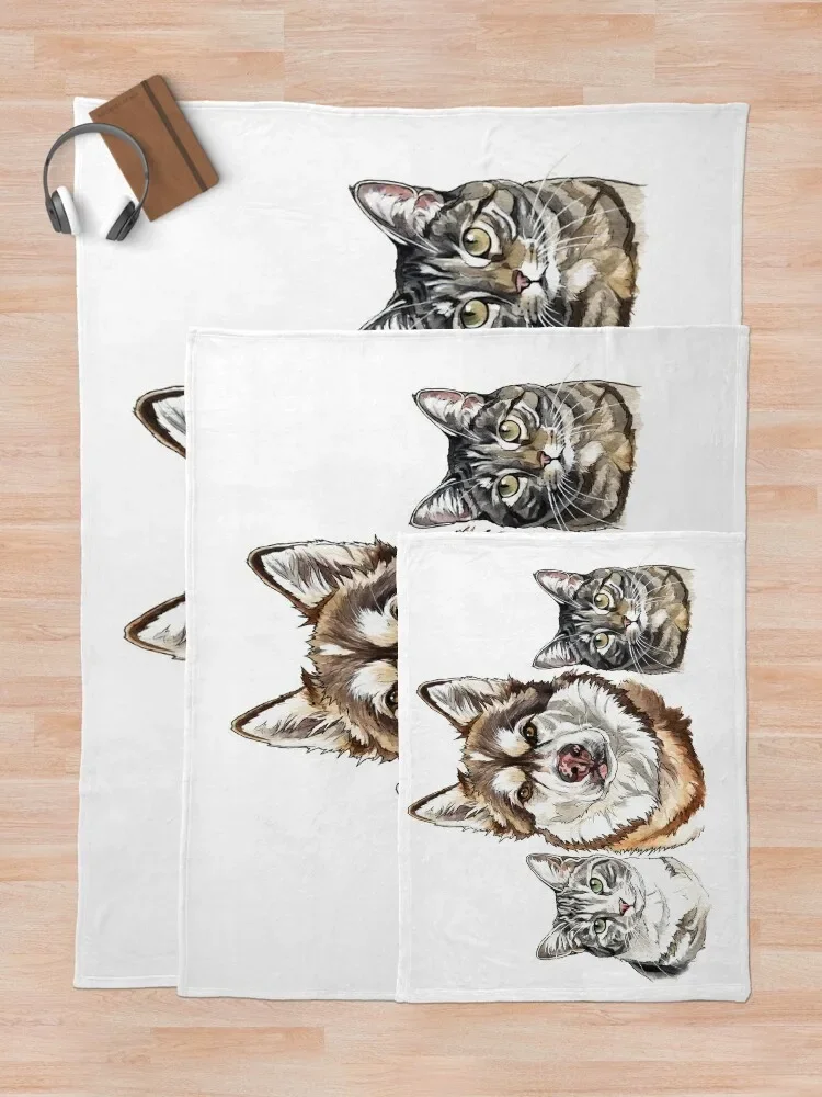 0445(8) ������ ���, ���� ���� ���� �ε巯�� ���� ���