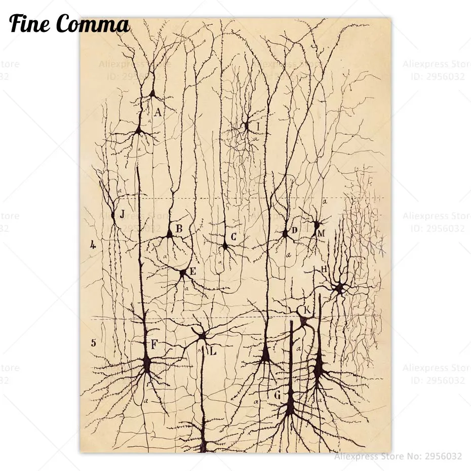 Desenho do Ramones: O Que Realmente Faz Esse Artefato Virar o Centro da  Minha Sala de Estudo?, image size:930x930