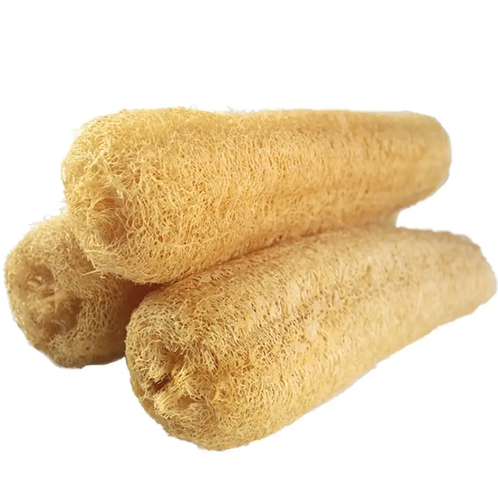 Esponja de Luffa Natural