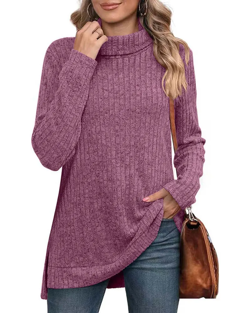 

2023 Autumn turtleneck Sweater Women Turtle Neck Pullover Women Knitted Sweater Jumper Ladies Sweater For Women