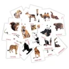 Russian Animals Words Card for Baby 2-6 Years old Enlightenment Teaching tools Montessori Learning Education Cognitive Flashcard 1