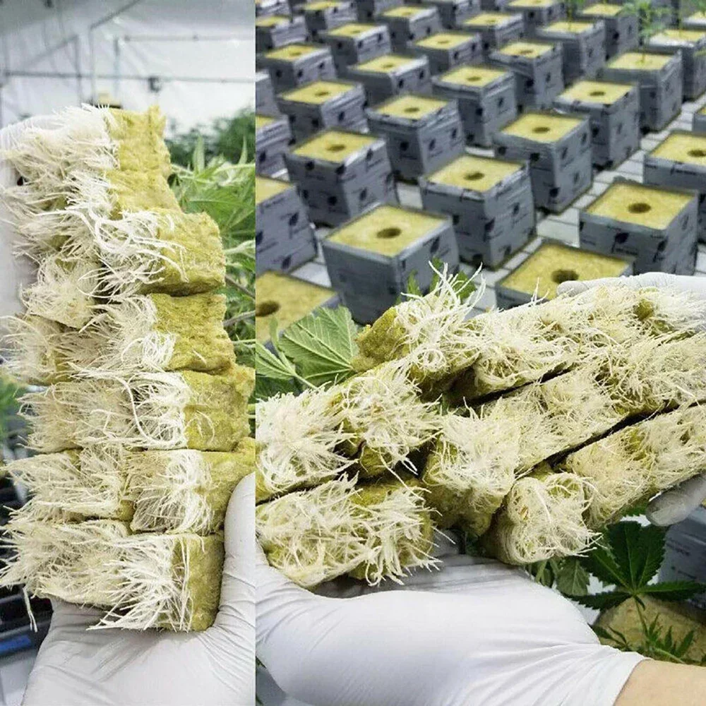 50Pcs Plant Starter Grow Plug Cubes Base Practical Cubes for Garden Greenhouse Orchard Sun Room Hydroponic Applications NEW