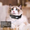 Cat camera collar video and audio 1080P Night Vision Body Camera Recording Sports Action Pet Cameras Dog camera toy 1