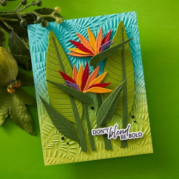 Go Wild Sentiments 금속 커팅 다이 클리어 스탬프 스텐실 핫 포일 DIY 스크랩북 공예 장식 엠보싱 템플릿