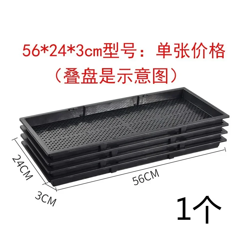 Planting Seedling Tray Sprouting Seedling Tray Succulent Sowing Culture Box
