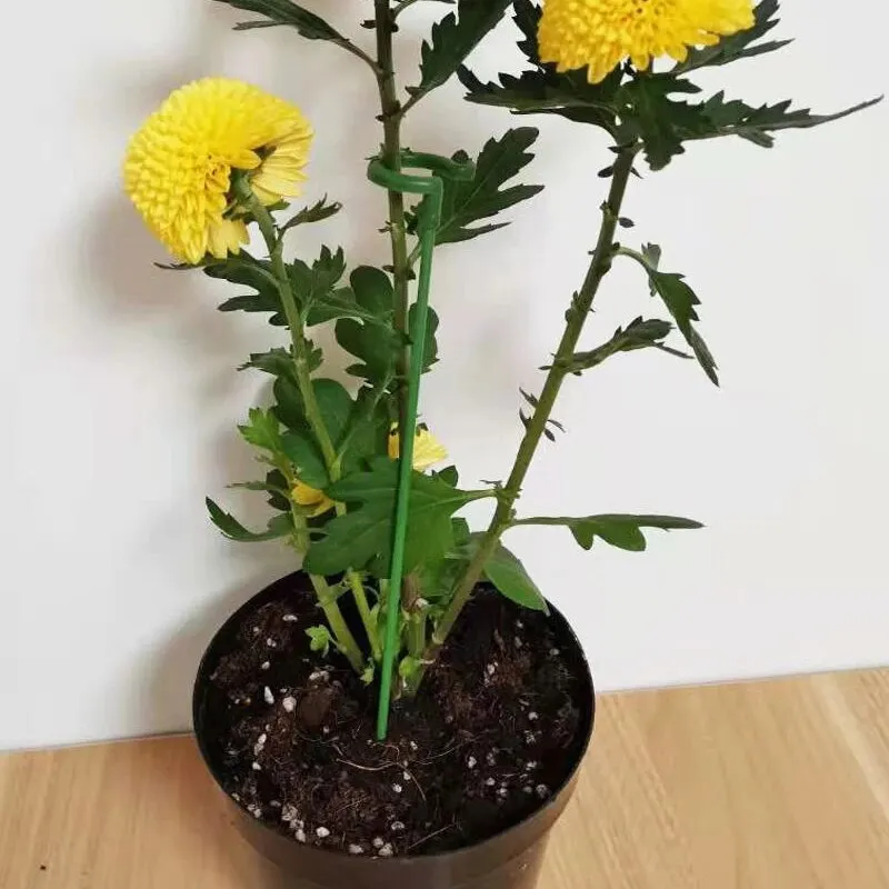 10pcs 27cm 원예 꽃 스탠드 브래킷, 화분에 심은 식물 꽃 모양 지원 막대, 고정 안티 숙박 잎 가드 프레임