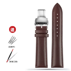 Elegant Blue Leather Strap for Men and Women - Available in Various Sizes and Colors (02A - Brown - Silver)