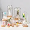 12*26cm Big Size Glass Dome Vase Home Decoration Cork Base Transparent Cover DIY Friend Birthday Favor Gift Wedding Live Prop 5