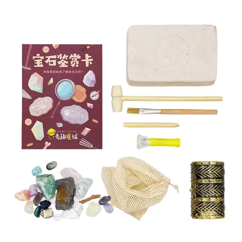 

Fossil and Gemstone Dig Kit Educational Science Kit Archaeology Toy Discover Gems with Dig Tools Excavation Gem Kit Dig Up