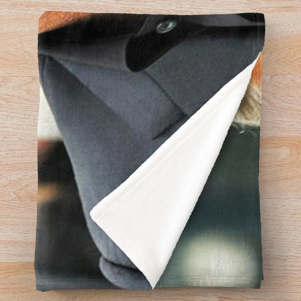 ���� Ŭ��� ���� ��Ʈ üũ ���� ���� �̺�, ������ ���