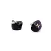 ISN Audio H20 1BA+1DD 2 Drivers Hybrid HiFi IEMs 2Pin 0.78mm HiFi Audiophile In-Ear Earphone IEMs With OCC Silver-Plated Cable 2
