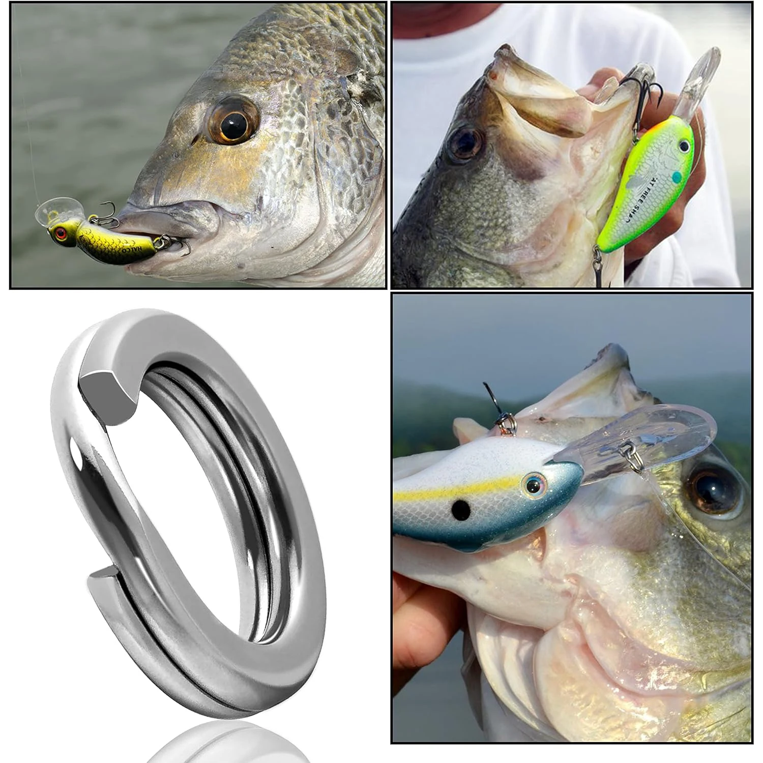 Fishing Split Rings 5 Sizes High Strength Large Tensile Force Fishing Loop Lure Connector 200/250PCS