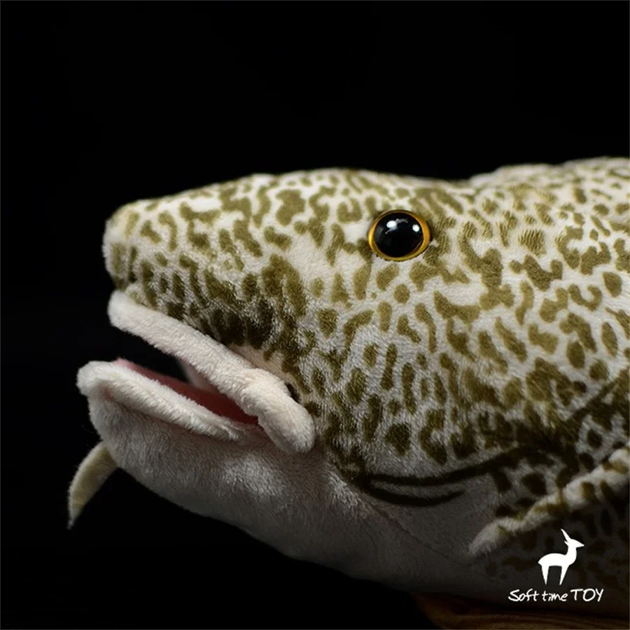 Gadus Morhua High Fidelity Anime Cute Plushie Atlantic Cod Fish Plush Toys Lifelike Animals Simulation Stuffed Doll Kawai Toy 4
