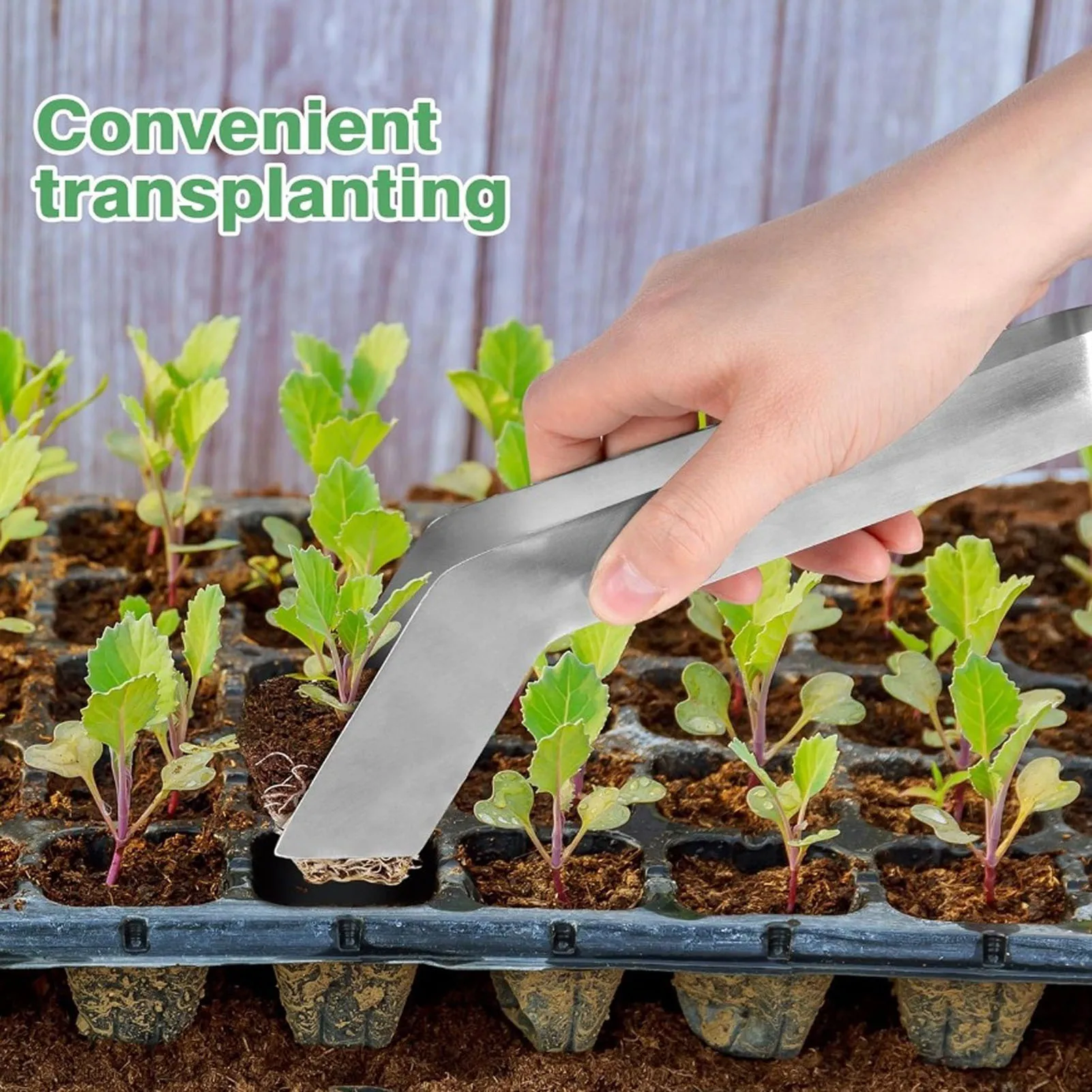 Seedling Transplant Tong Stainless Steel Gardening Plants Transplant Tongs Seedling Remove Plier For Reducing Root