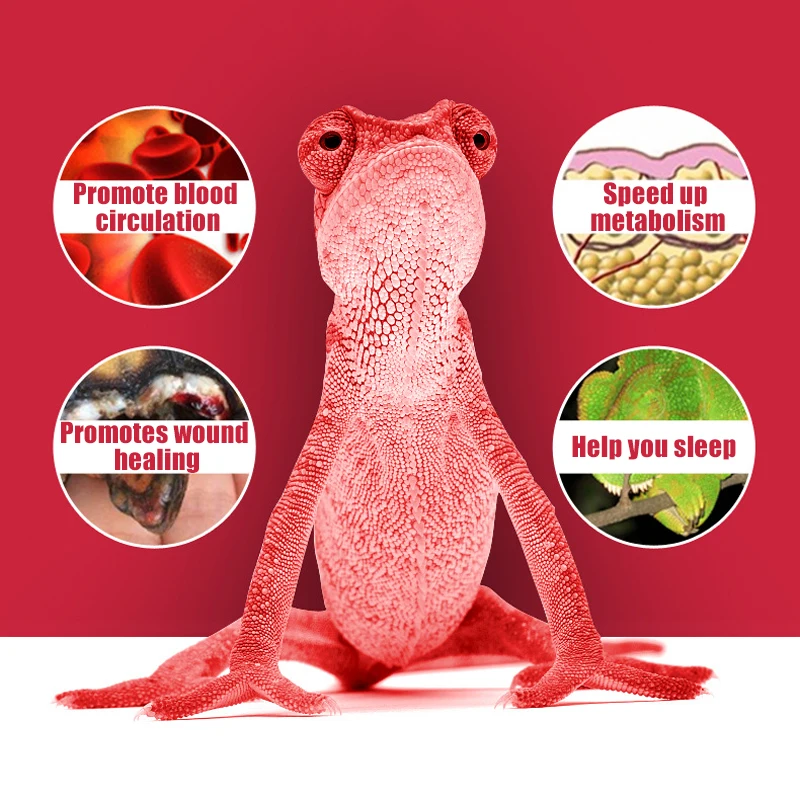 Pet Heating Lamp E27 Day Night Amphibian Snake Reptile Bulb UV Light 25W 50W 75W 100W AC220-240V