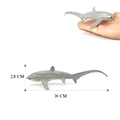 Thresher shark