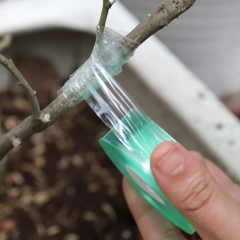 Grafting Tape 100/300M Stretchable For Fruit Tree