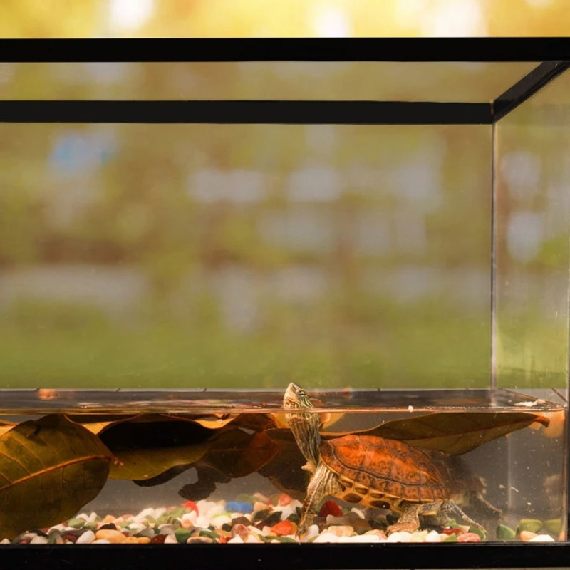 Aquarium Leaves Natural Longan for Turtle Fish Breeding
