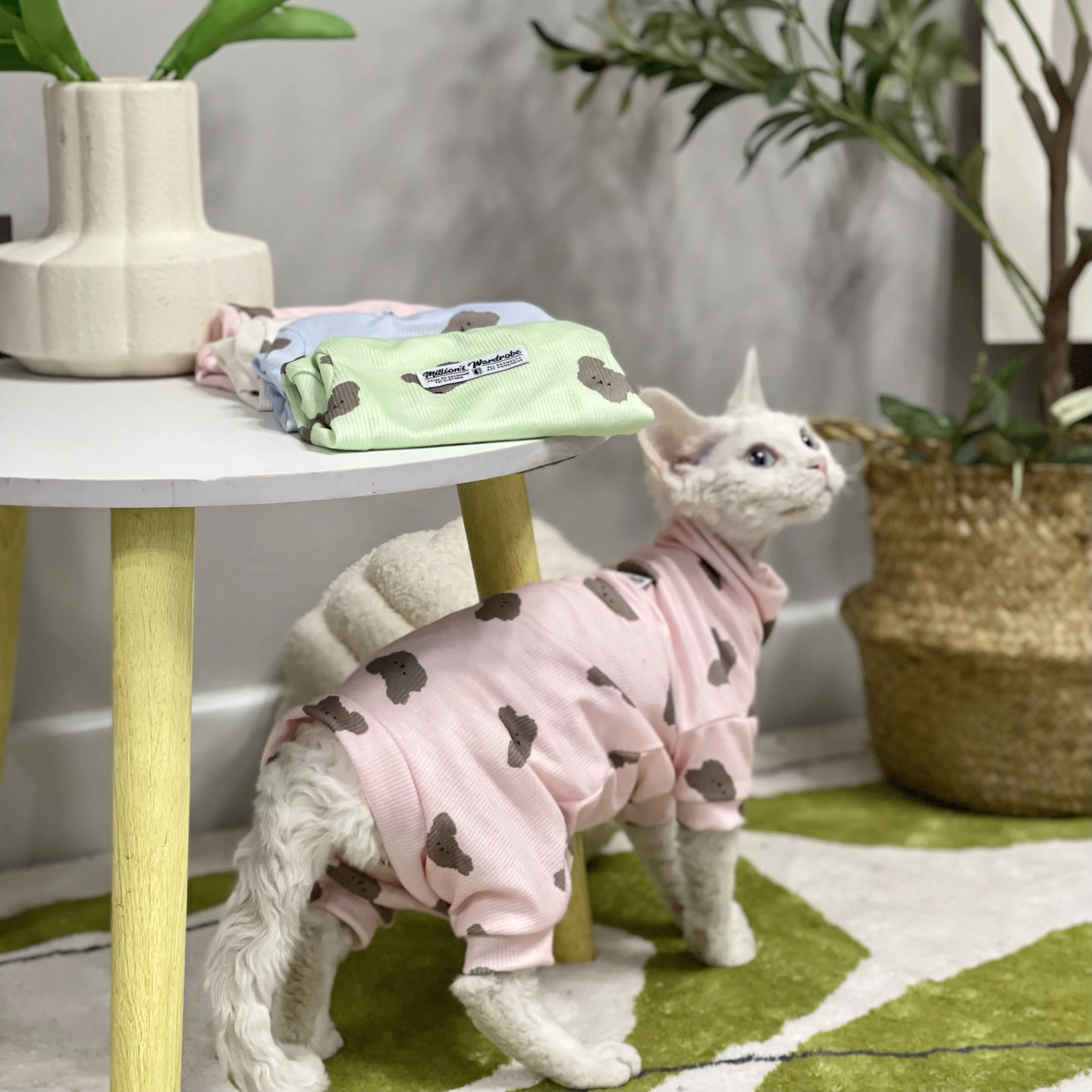 하이넥 스핑크스 고양이 코튼 조끼, 고양이 의류, 귀여운 곰 티셔츠, 데본 렉스 소프트 코트, 여름 용수철 아웃웨어, 고양이 용품