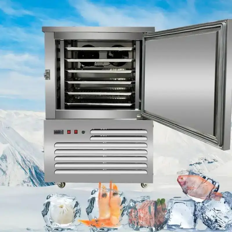 Shock freezing food fish industrial plate blast chiller deep freezers equipment -45 degree 5 pans blast freezer CFR BY SEA 4