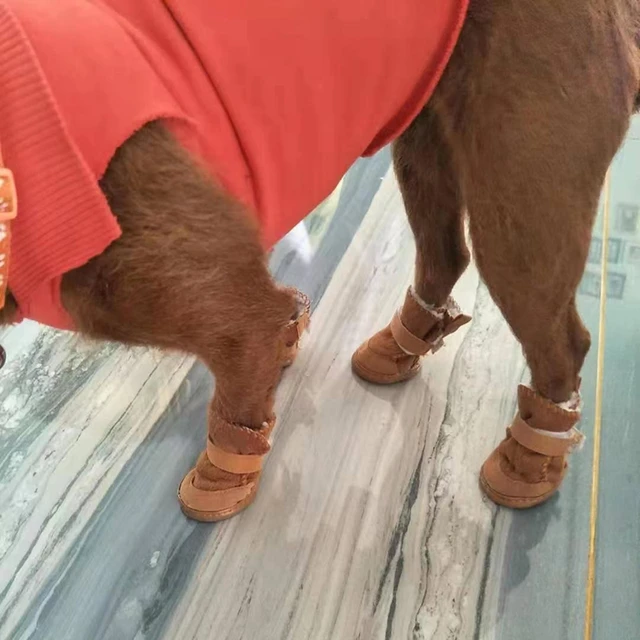 Pet Dog Shoes 4pcs Thick Warm Rain Snow Carton Boots Prewalkers Walking Puppy Sneakers Dog Accessories 2