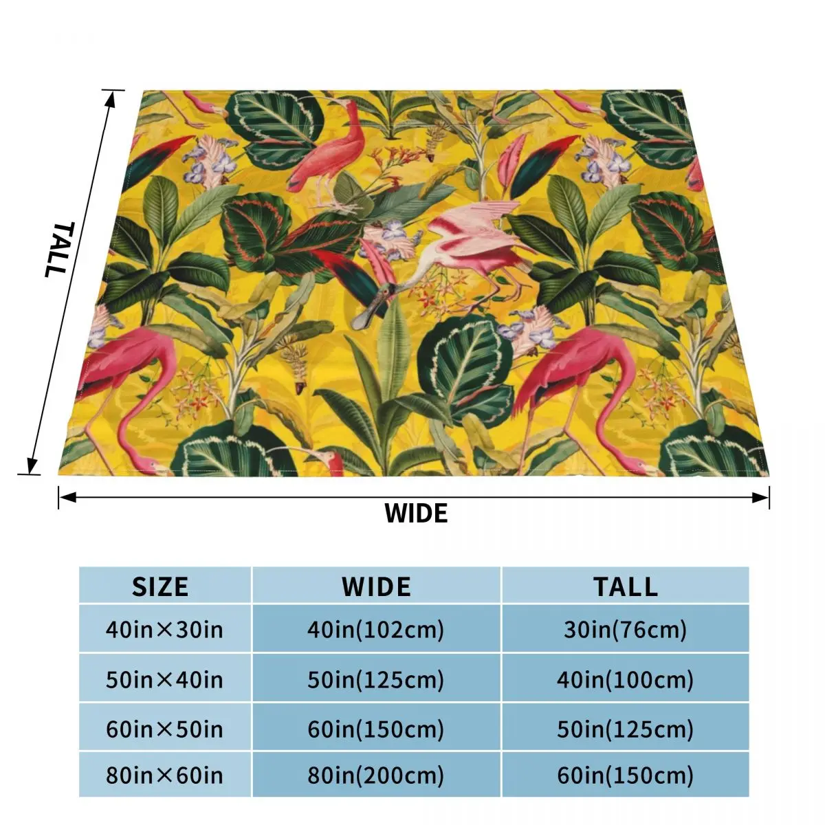 ��Ƽ�� ����� ���� ���� ���� ���� ������ ���, �̺� ���, ���� ������ ���