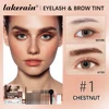Eyebrow Tint Dye Professional Eyebrow Dye Waterproof Long-lasting Eyebrow Brow Kit Semi Permanent Eyebrow Home Use Pro Kit 4