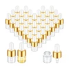 100Pcs Mini Glass Dropper Bottle Bulk Clear Essential Oil Dropper Bottles Small Glass Dropping Sample Containers 1 Ml 1