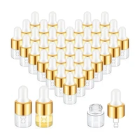 100Pcs Mini Glass Dropper Bottle Bulk Clear Essential Oil Dropper Bottles Small Glass Dropping Sample Containers 1 Ml 1