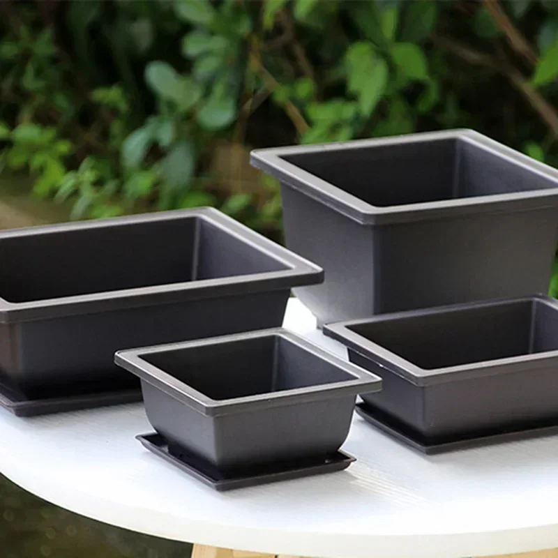 I igliori 7 Vasi per Bonsai - Classifica 2021