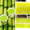 Commercial Sugar Cane Machine Four-Roll Table Stainless Steel Food Processor High Juice Rate Sugar Cane Juicing Price Machine 6