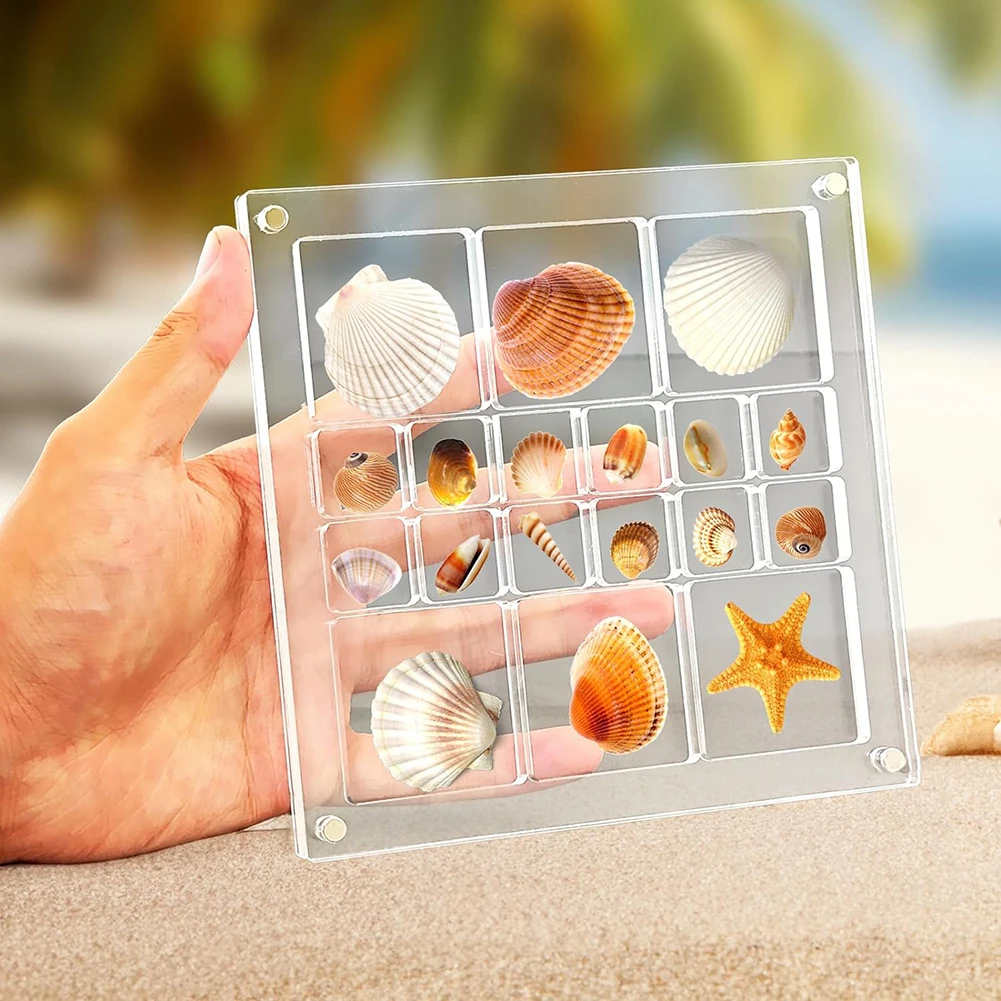 Acrylic Seashell Storage Box Multi Grid Large Size Seashell Bead Nail Jewelry Small Items Collection Display Box For  Home Use 2
