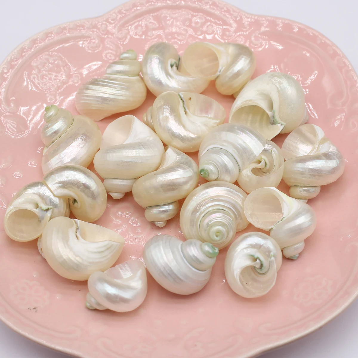 5-10pcs ڿ ȭƮ    ִ  DIY  м  ڵ ü  ׼