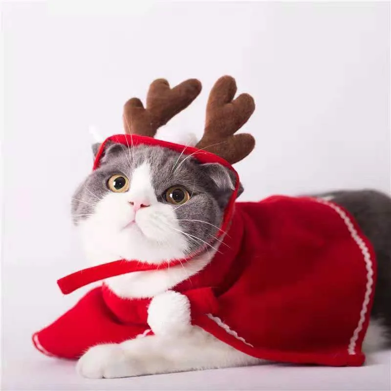 Cappellino Costume Gatto Natale Cappello Di Natale Costume Da