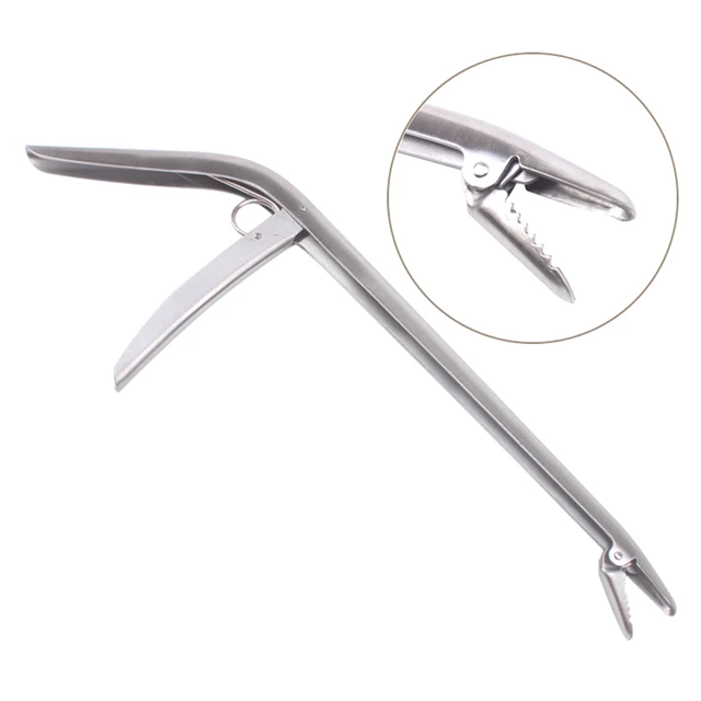 Stainless Steel Unhooking Device Fish Clamp Clip Catch Remover Plier  Fishing Hook Tool Fish Tackle Control Fish Pliers - AliExpress