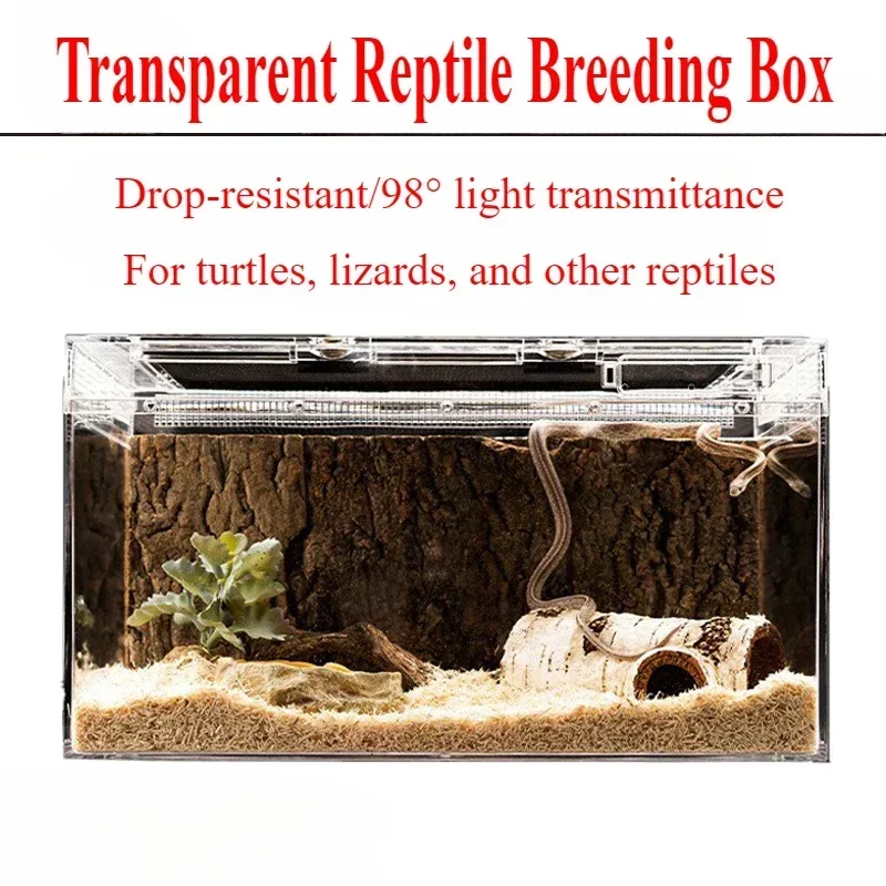 Transparent Reptile Feeding Box 1